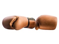 FAIRTEX Rękawice Bokserskie BGV21 Legacy Special Edition