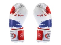 FAIRTEX Rękawice Bokserskie BGV1 Thai Pride