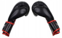 EVOLUTION Rękawice Bokserskie CARBON PRO