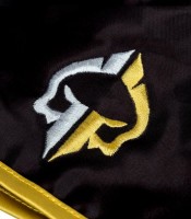 GROUND GAME Spodenki Muay Thai GOLD