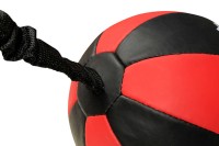 BUSHIDO Piłka Refleksowa Pozioma HORIZONTAL BALL