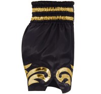 TOP KING Spodenki Muay Thai TKTBS-095