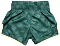 FAIRTEX Spodenki Muay Thai BS1915 Clubber