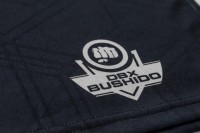 BUSHIDO Spodenki Bokserskie SILVER