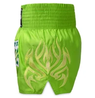 TOP KING Spodenki Muay Thai TKTBS-253
