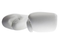 TWINS Rękawice Bokserskie BGVL-3