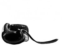 TWINS Rękawice Bokserskie BGVL-3