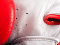 TWINS Rękawice Bokserskie FBGVL3-6 Dragon Czerwono-Srebrne