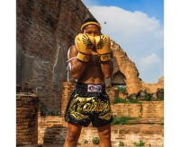 FAIRTEX Rękawice Bokserskie BGV1 Falcon Special Edition