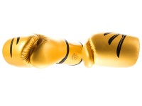 FAIRTEX Rękawice Bokserskie BGV1 Falcon Special Edition