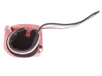 FAIRTEX Rękawice Bokserskie BGV1-B Różowe z Siateczką