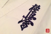 CHIKARA Kimono Karate Kyokushin Student 10oz