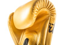 FAIRTEX Rękawice Bokserskie BGV1 Falcon Special Edition