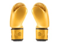 FAIRTEX Rękawice Bokserskie BGV1 Falcon Special Edition