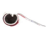 FAIRTEX Rękawice Bokserskie BGV1 Thai Pride