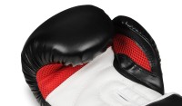 BUSHIDO Rękawice Bokserskie DBX Biało-Czarne