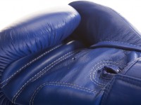 TWINS Rękawice Bokserskie BGVL-3